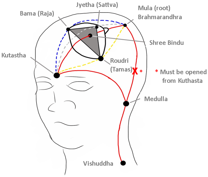 higher chakras