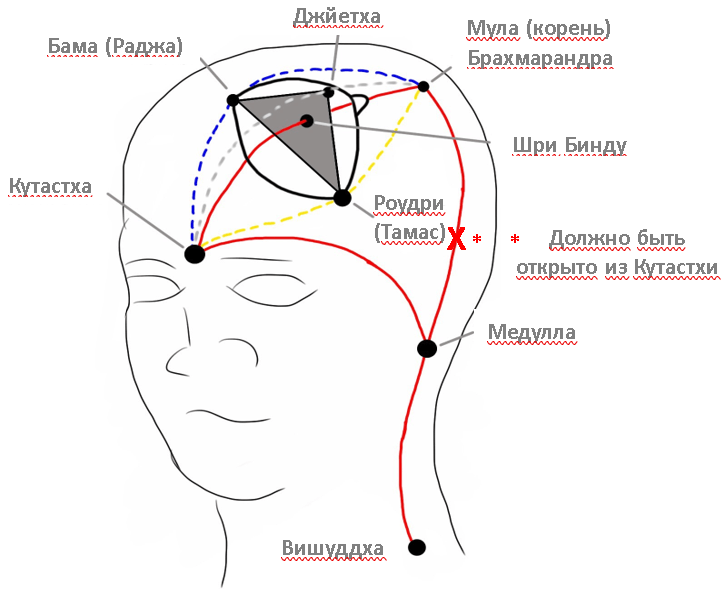 higher chakras